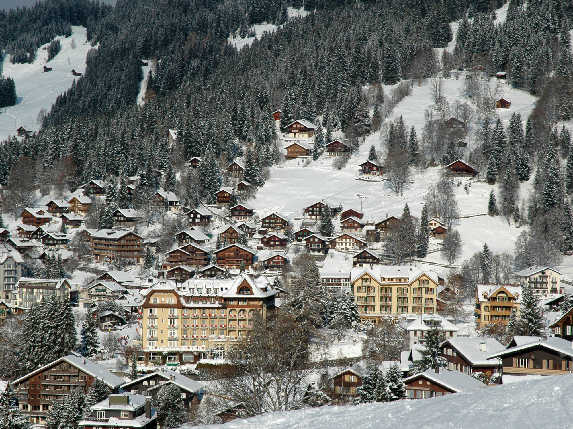 Nascholing Wengen Zwisterland